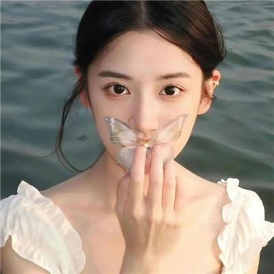 法不容情